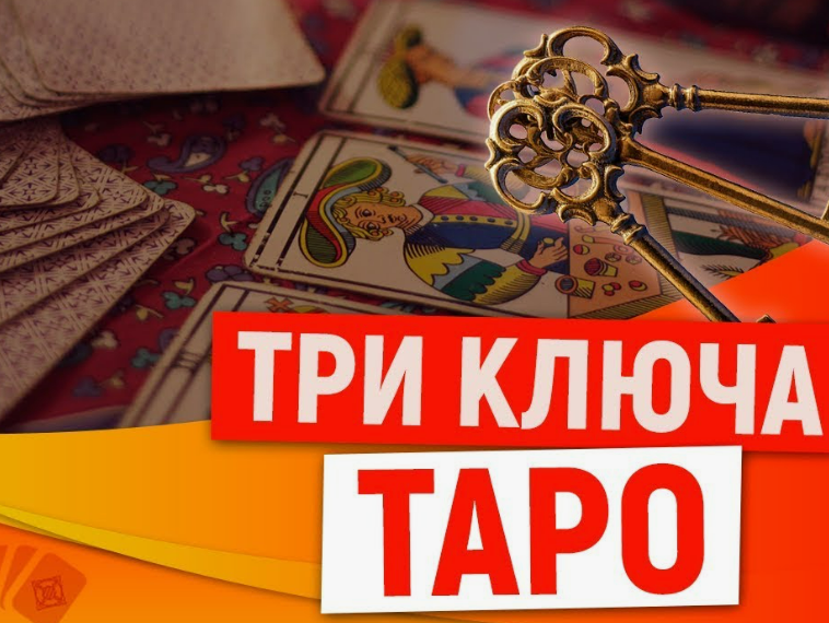 Фотография взята из источника yandex.ru