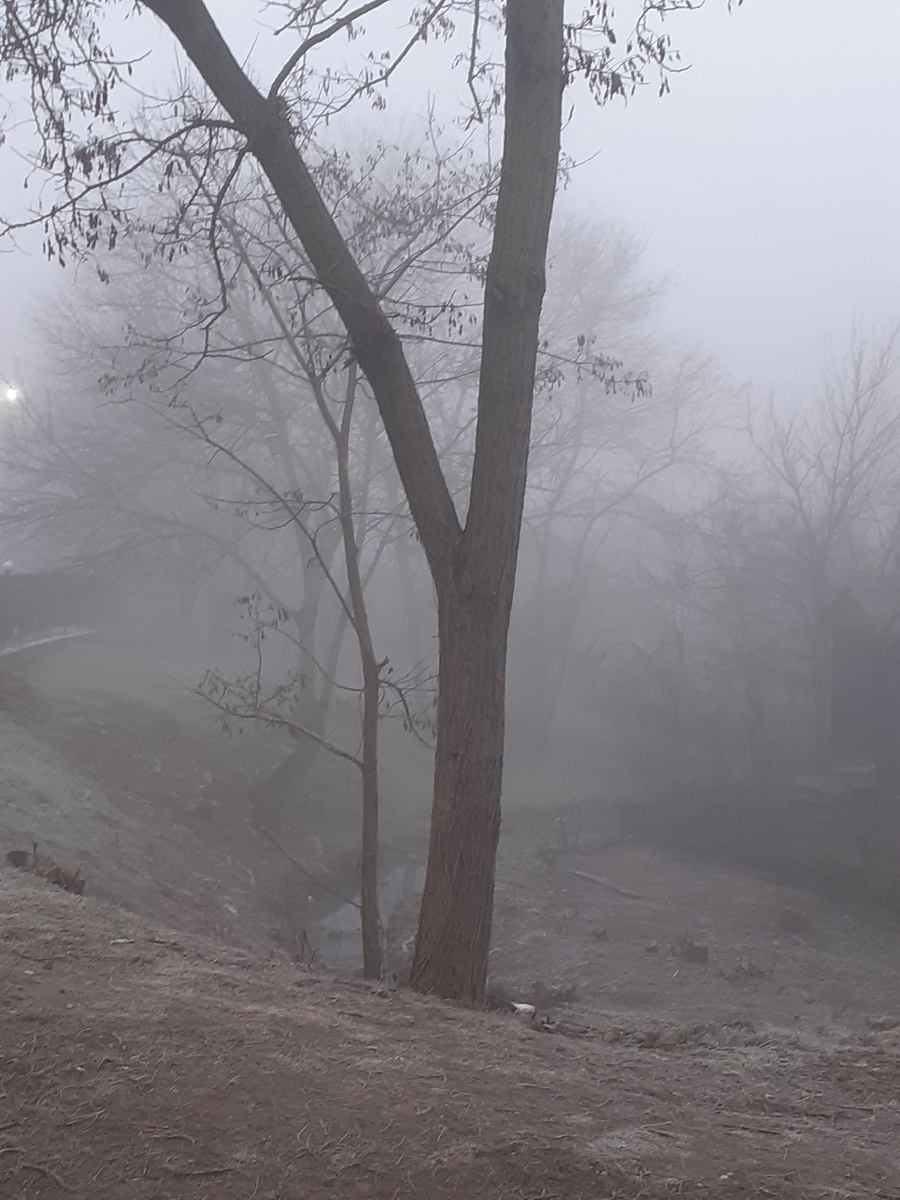 Загадочное туманное осеннее утро. Фото моё.