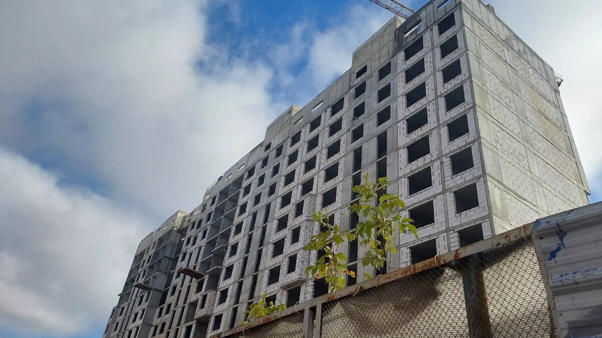     Источник: newsnn.ru