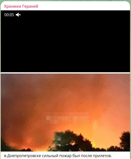    Скриншот с канала "Хроники Гераней"