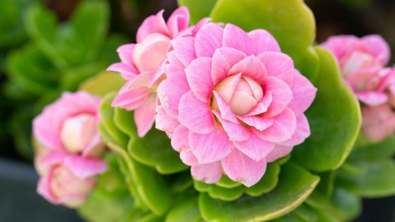 Источник: Газета.Ру