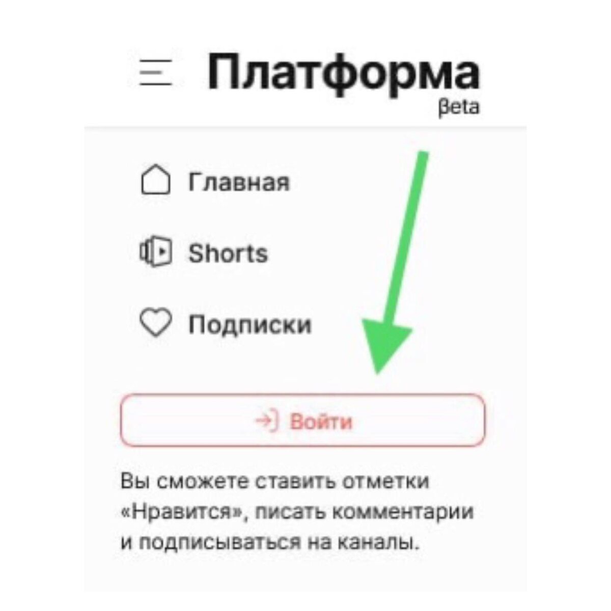 Скрин офиц. сайта plvideo ru