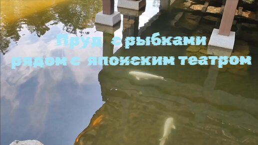 Все в этом саду восхищает и радует глаз , в пруду огромные рыбы плывут прямо к нам.