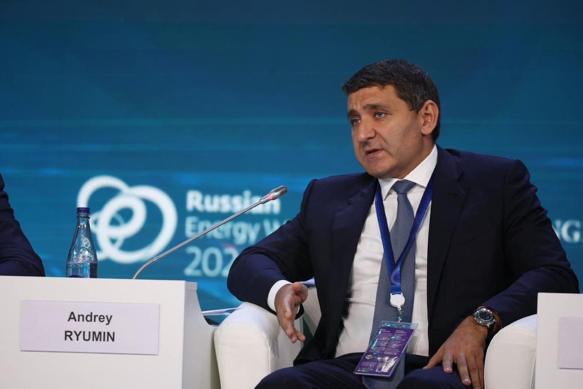 Генеральный директор ПАО «Россети» Андрей Рюмин