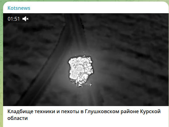    Скриншот: канал Kotsnews