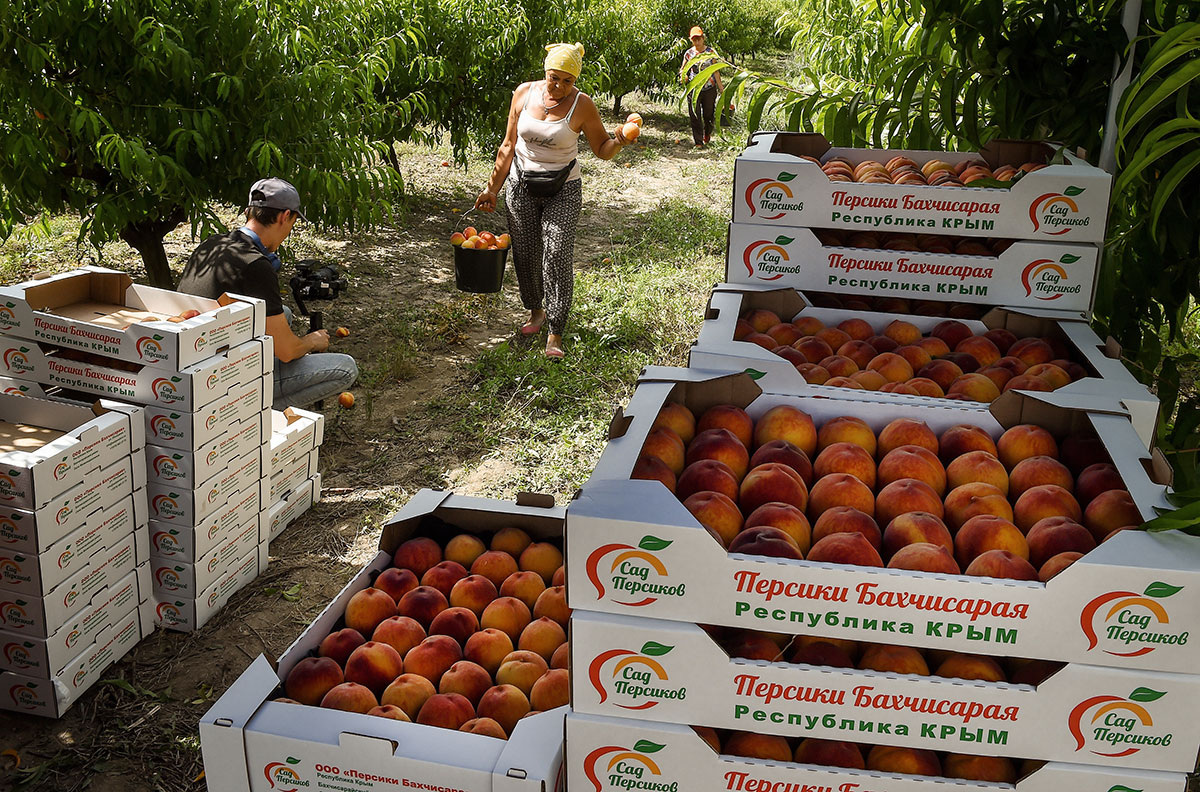 ©Виктор Коротаев/Коммерсантъ/Vostock Photo