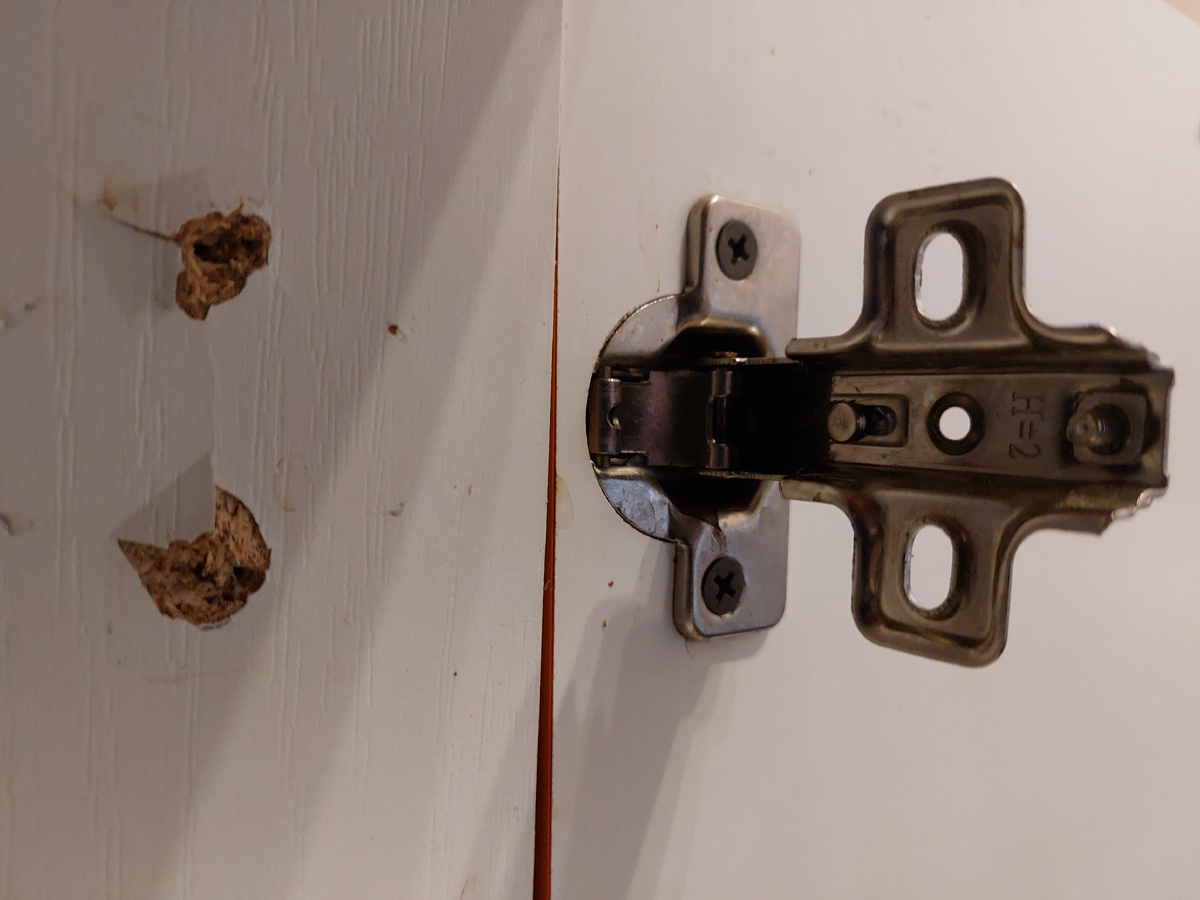 Вырванный "с мясом" шарнир