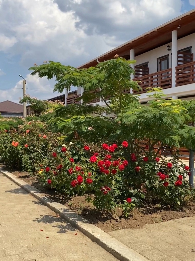 Турбаза «Родная гавань»