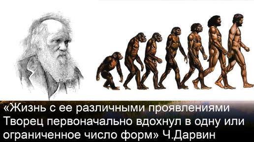 Скачать видео: Правда ли, что теория Дарвина атеистична?