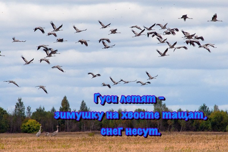 ВКонтакте