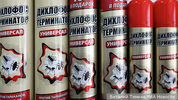     Фото: Виталий Тимкив/РИА Новости   
 Текст: Алексей Дегтярев