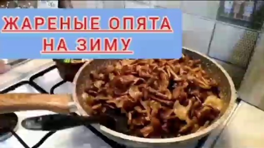 Опята жаренные на зиму