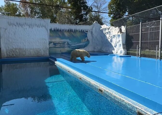    Фото: Пензенский зоопарк