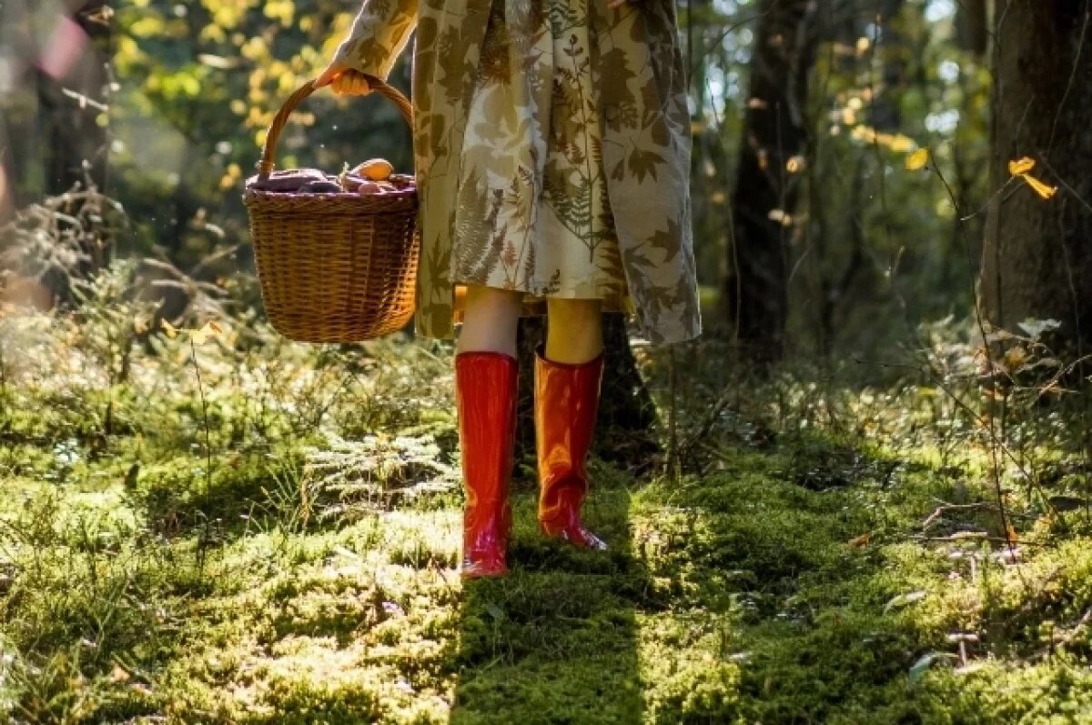    Две пенсионерки замешаны в странном деле о стрельбе в лесу под Петербургом
