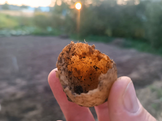 Фото: Оксана Котова