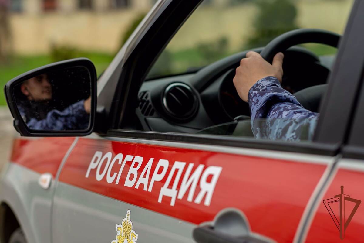    Росгвардия. Фото: Пресс-служба Центрального округа войск национальной гвардии Российской Федерации Илья Мартов