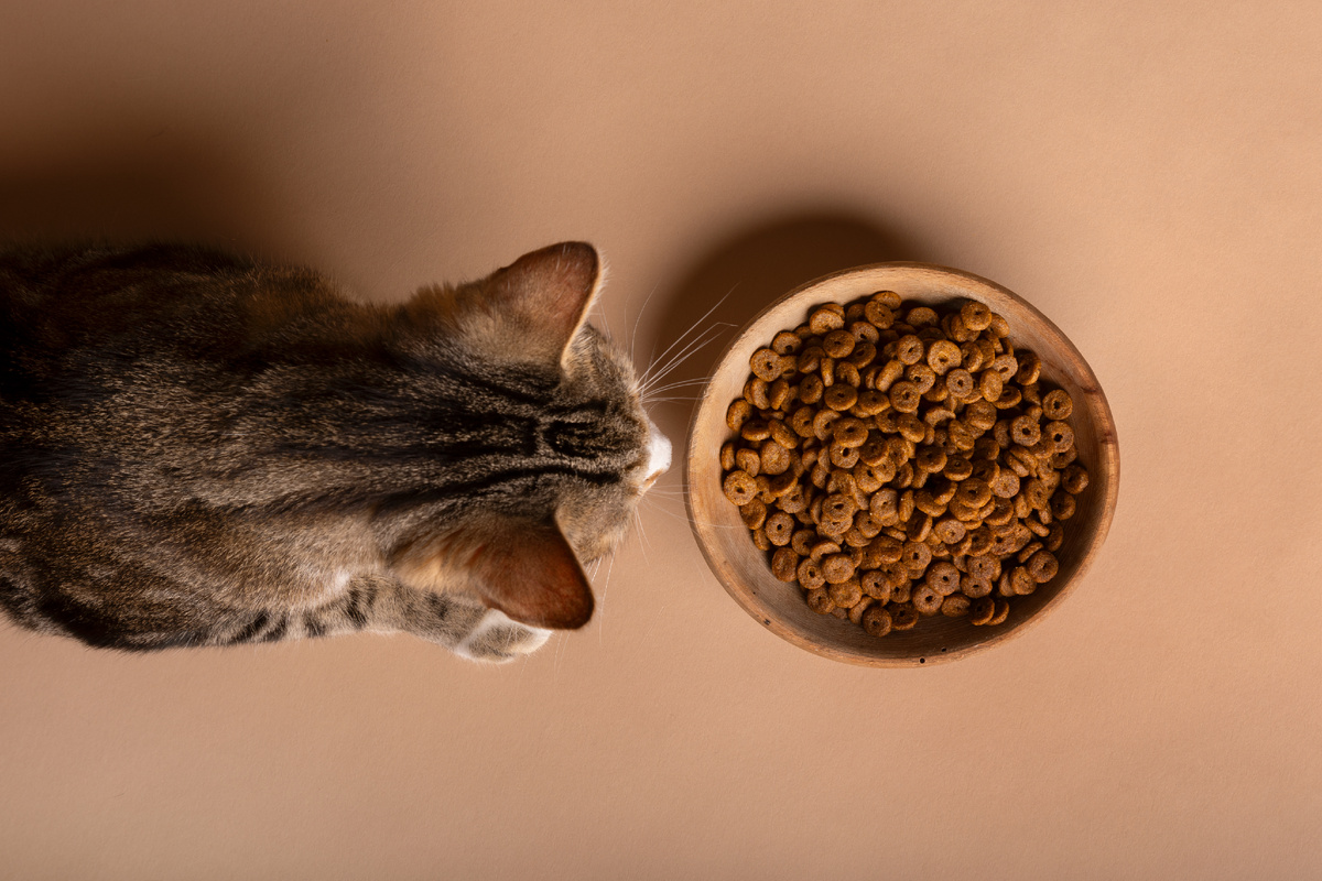 Больше интересного в нашем Telegram-канале! https://t.me/grand_prix_pet_food 