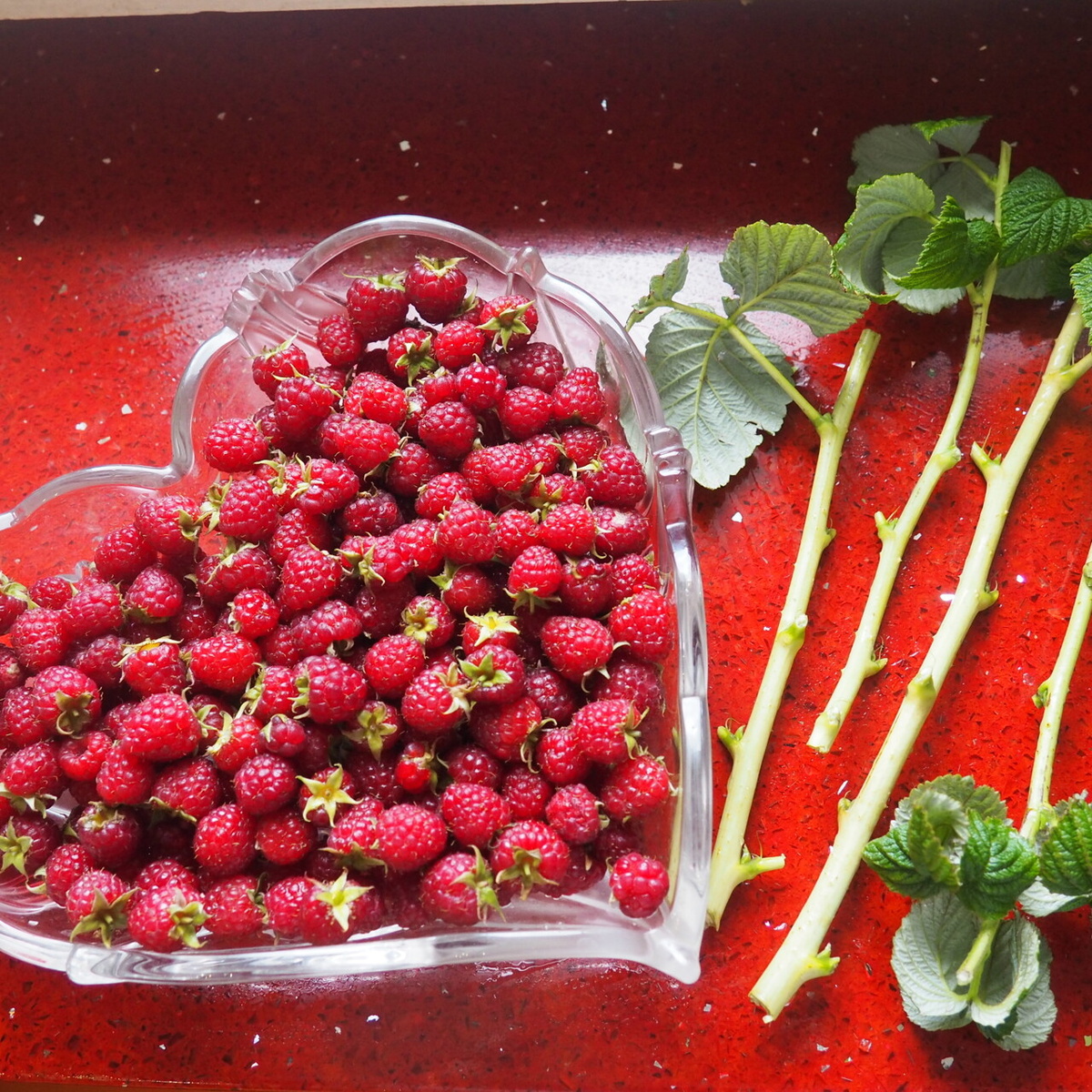 Фото из интернета.