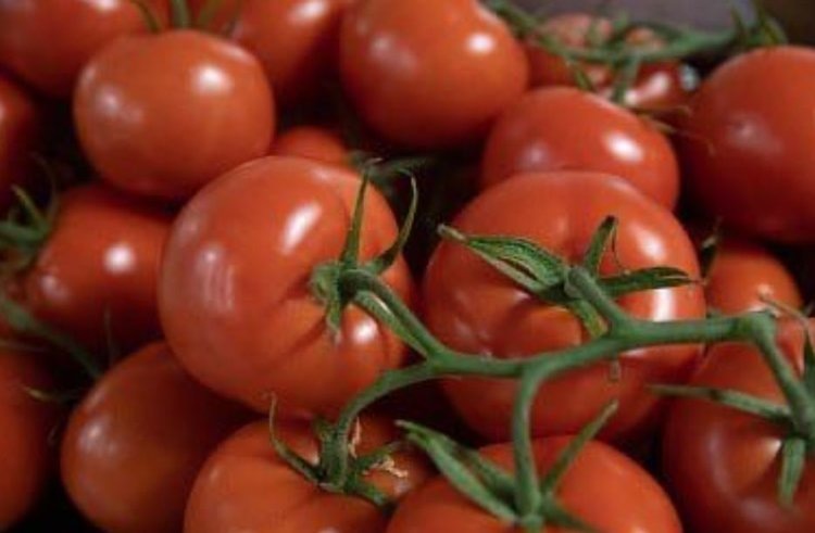    Российские овощеводы собрали 4 млн тонн овощей на 26 сентября