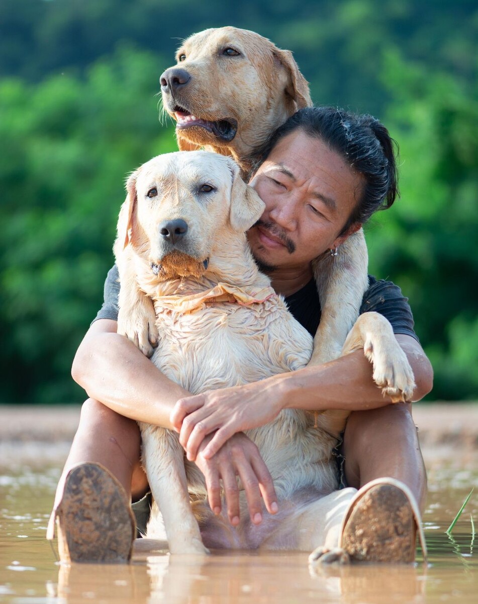 Источник: @artwood.ig
