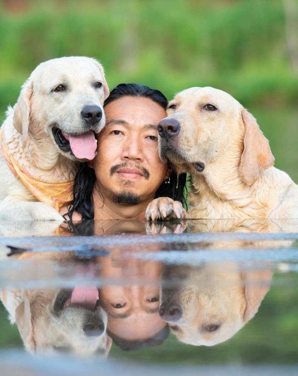 Источник: @artwood.ig