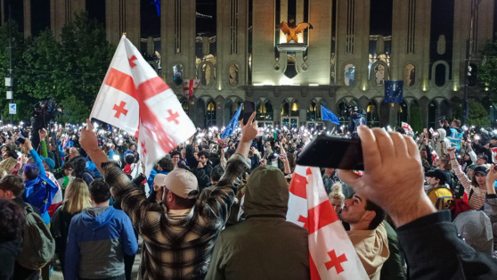    В Тбилиси допустили пересмотр отношений с Вашингтоном, если тот не сменит свою политику Ирина Петрова