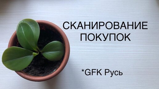 СКАНИРОВАНИЕ ЧЕКОВ: КАК ЗАРАБОТАТЬ?