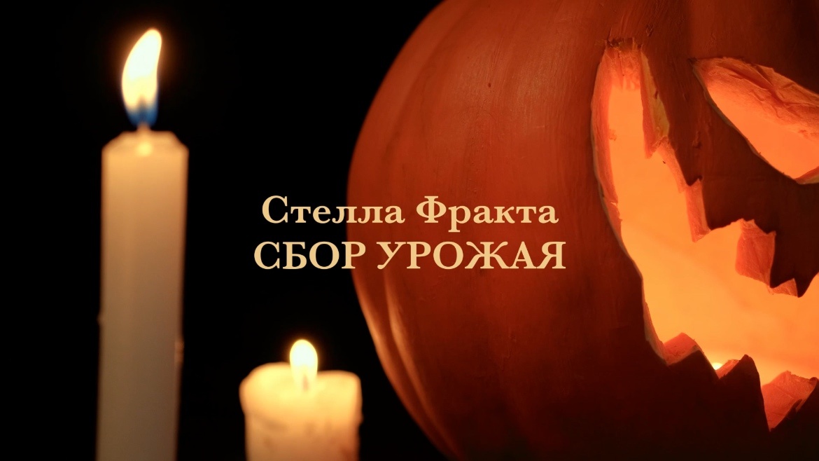 Стелла Фракта «Сбор урожая». Кадр из трейлера книги