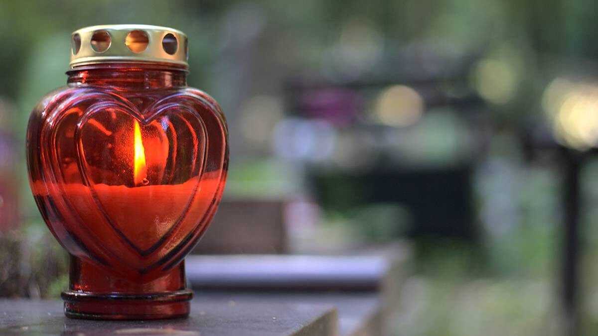    Фото: Shutterstock