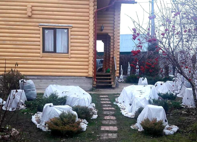 Однажды в ноябре. Вот так выглядят мои укрытия роз поздней осенью.