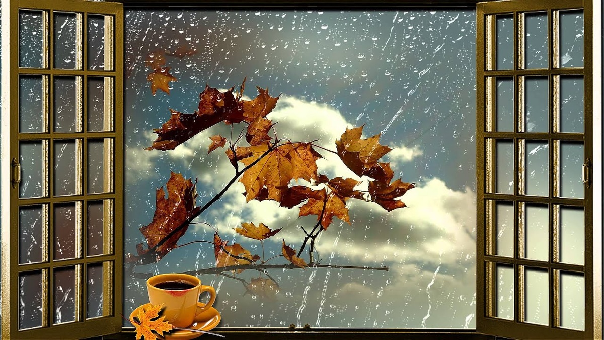 ветер за окном