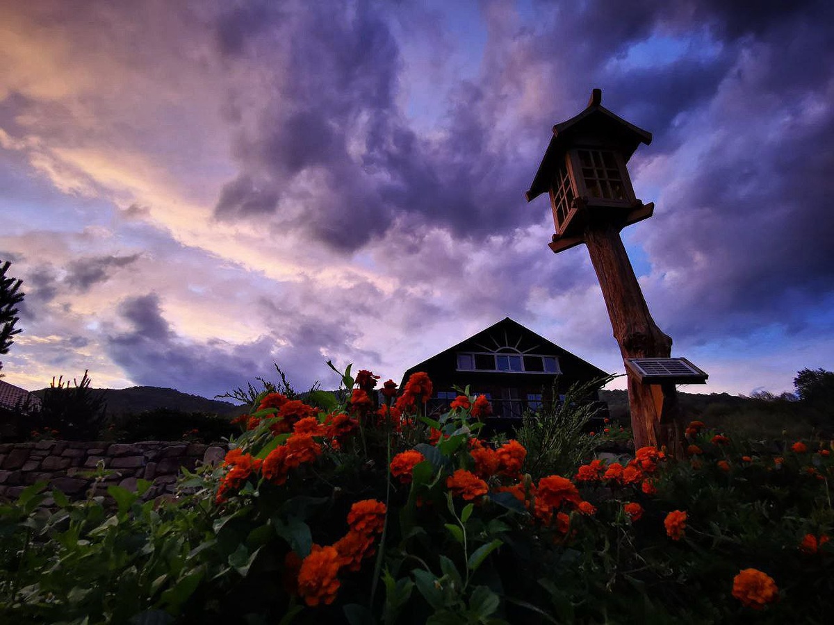 фото тг Горный поток