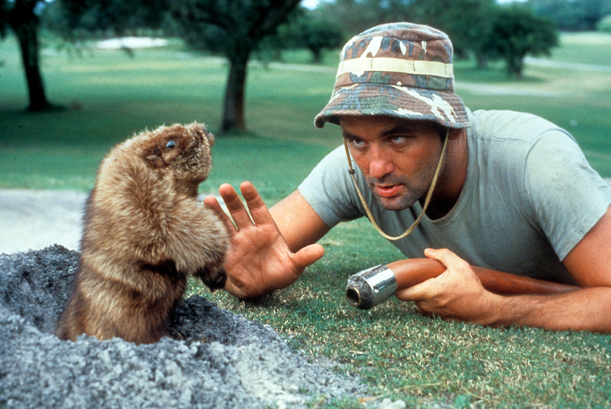 Caddyshack, 1980