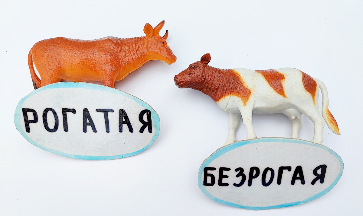 Рогатая корова и безрогая.