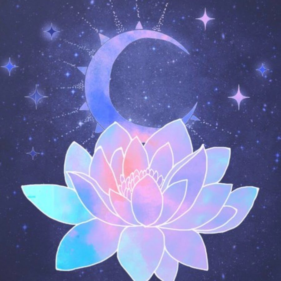 Картинка из свободного интернета .