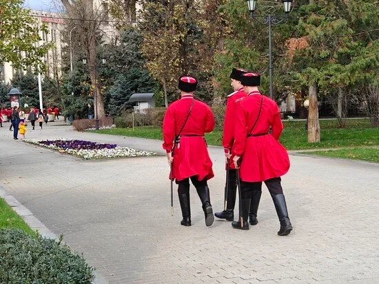    Фото: Юрий Серебренников/BFM Кубань