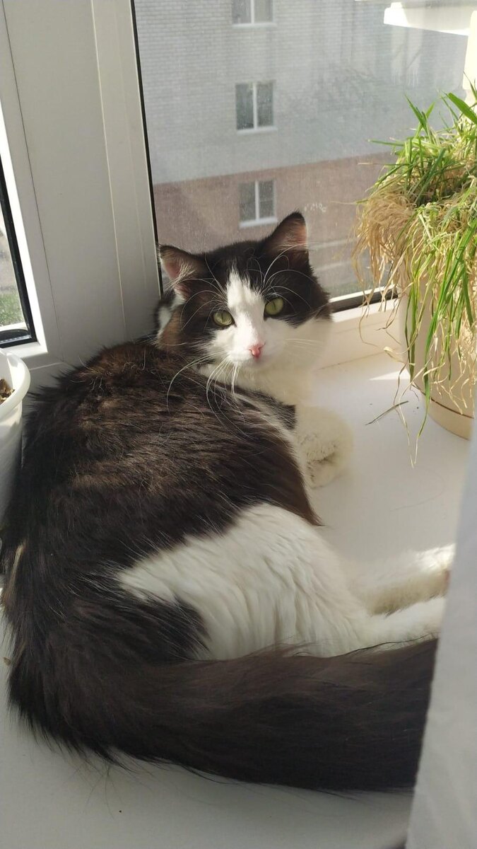 Макс. Фото автора