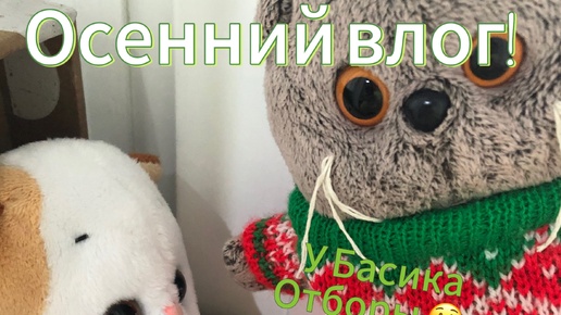 🌿Наш осенний влог!🌿У басика отборы по музыкальной школе????🤔Дождик!!!🪷🪷🪷🪷