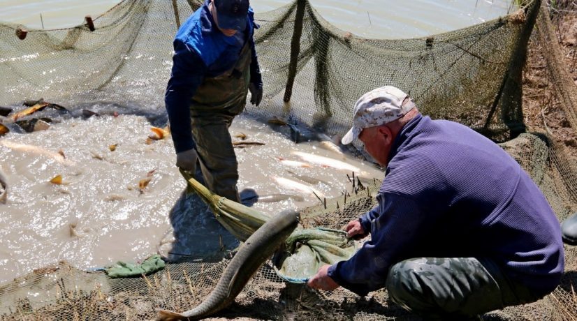 Фото: Радио Крым