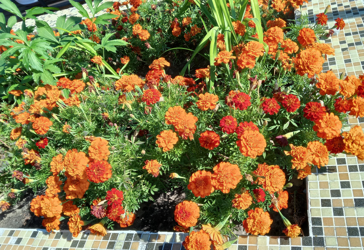 Фото автора.