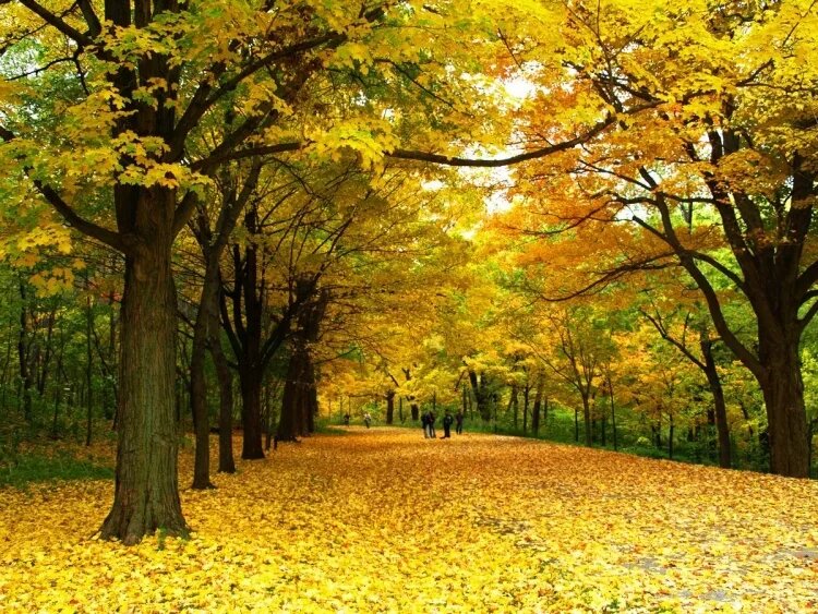 Изображение из открытых источников