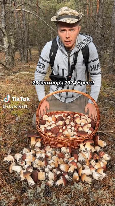 Alexandr Gorbatsevich. 25.09.2024. Брестская обл. Если что, это сбор на 4 -х человек, звука в гифке нет, но Скайфорест обычно все честно докладывает.