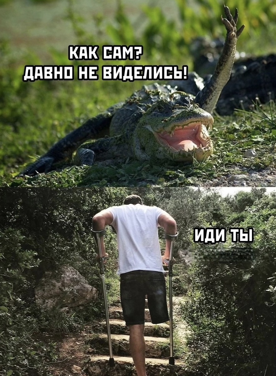 Фото взято из интернета 