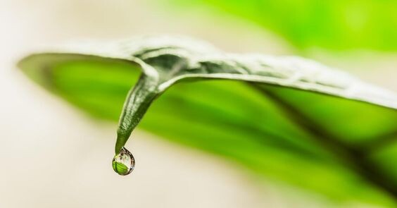 Фото: pinterest.com