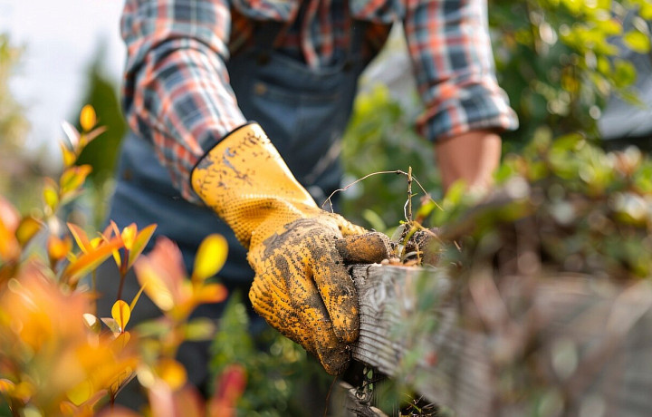 Фото: Freepik.com