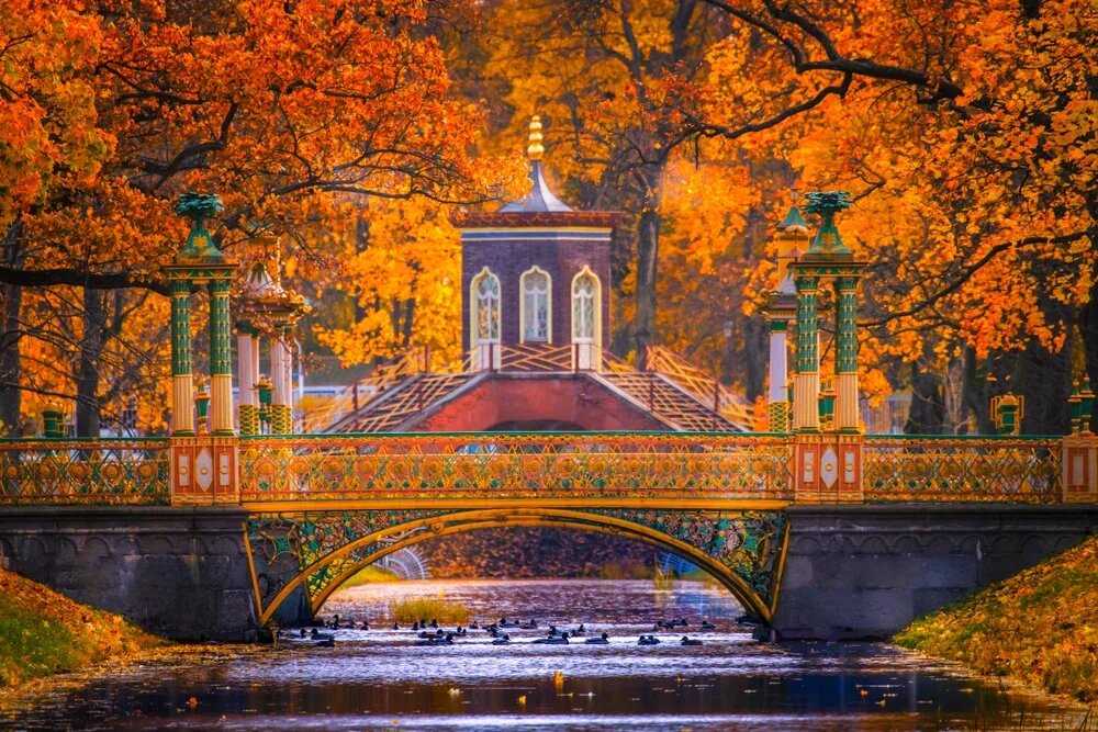 Фото: shutterstock