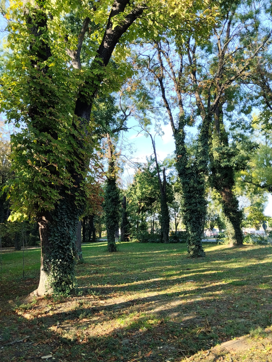 Два дня назад