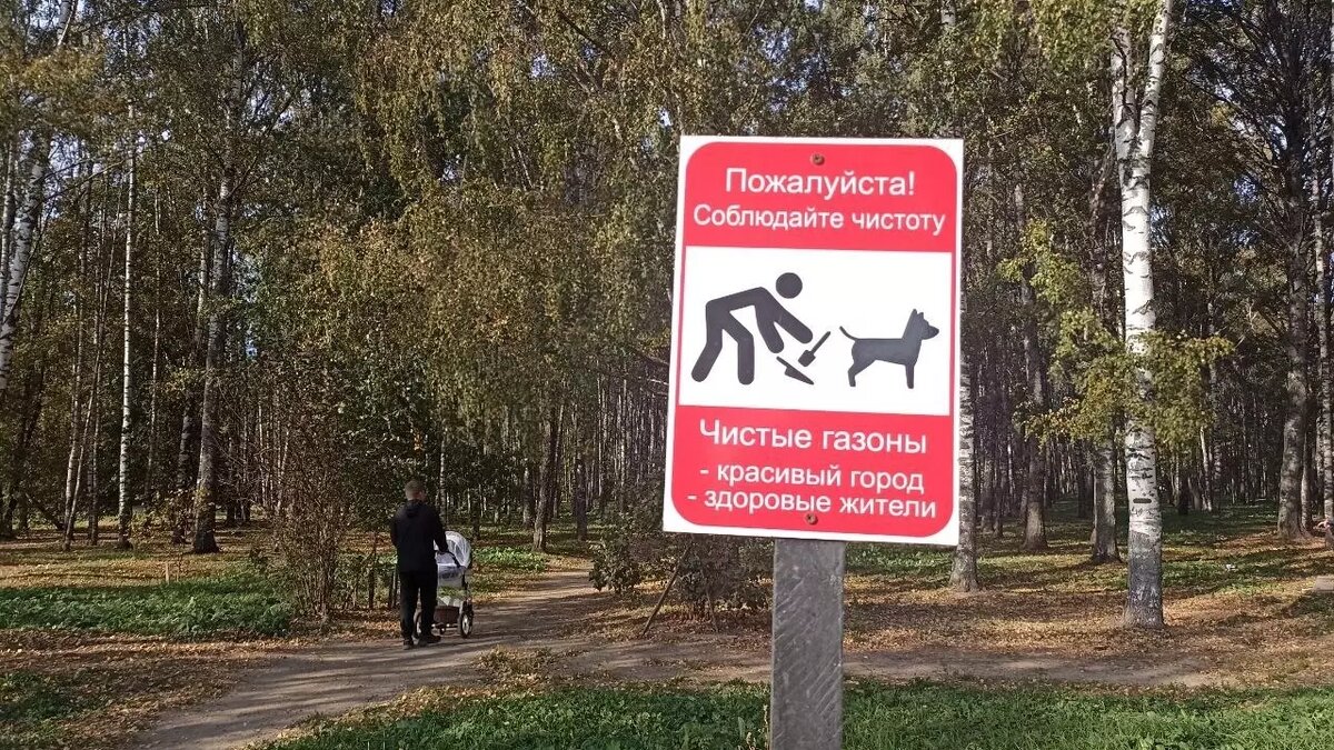В парках и скверах появились таблички с напоминаниями для владельцев собак. Фото: Анна Скудаева. newizv.ru