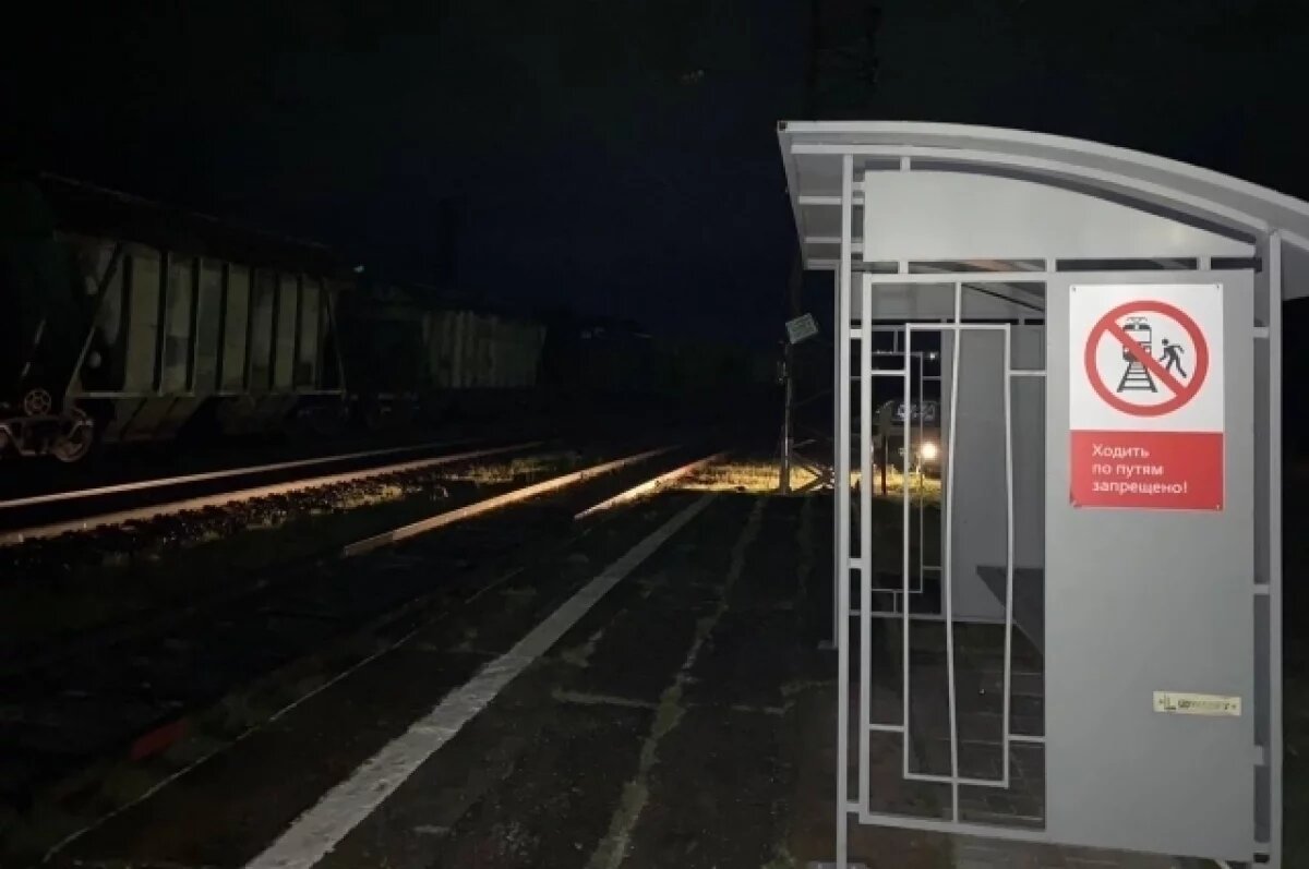    В Мурманской области подростки залезли на вагон грузового поезда на станции Шонгуй.