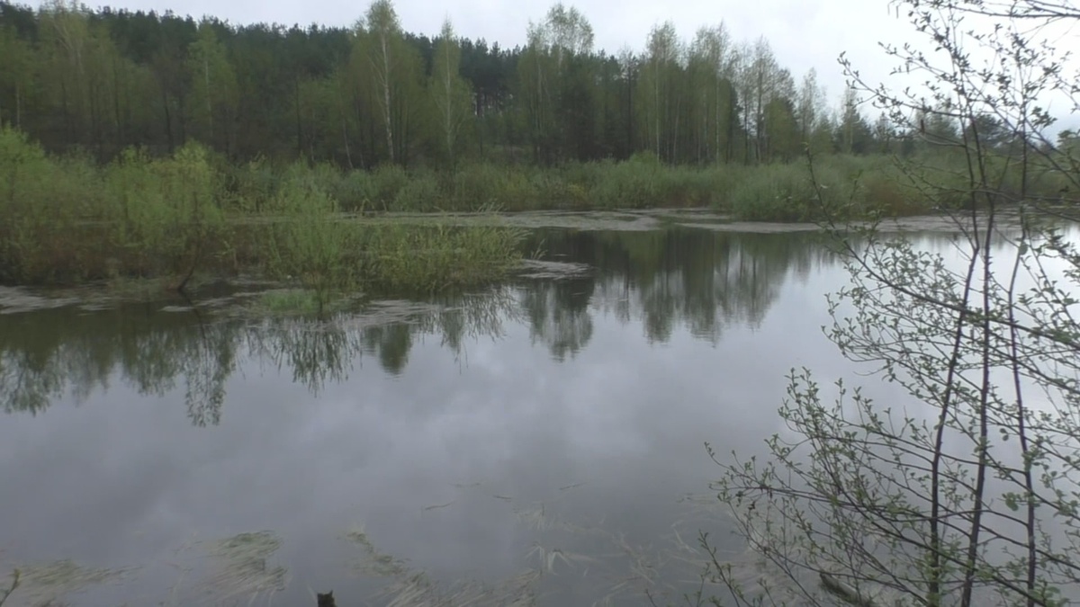 Вода поднялась более, чем на метр, кое-где скрыв даже прибрежные кусты: вот рыбе раздолье!